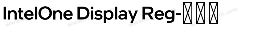 IntelOne Display Reg字体转换